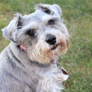 Meet your Posher, April